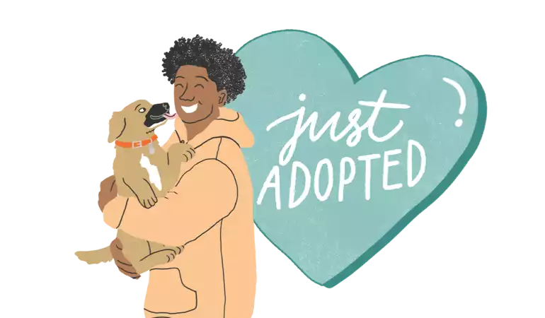 Support for Shelters and Adopters