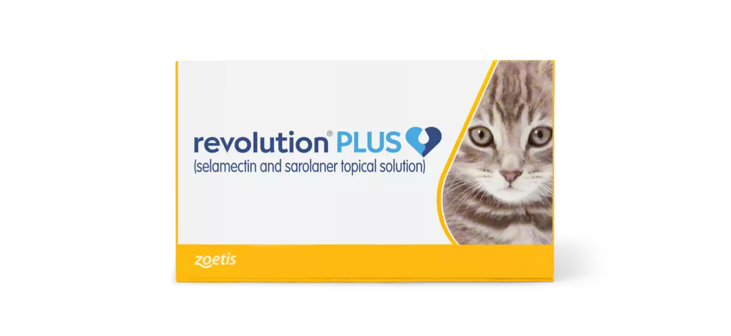 Revolution Plus Provides Broad-Spectrum Pest Protection for Your Cat