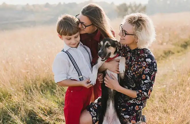 tips for holiday pet photos