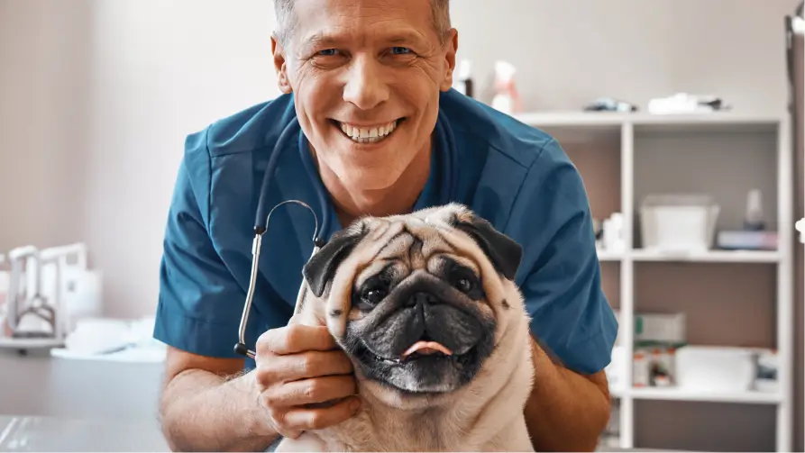 Ready to Curb Allergic Itch? We’ll Help You Prep for Your Vet Visit