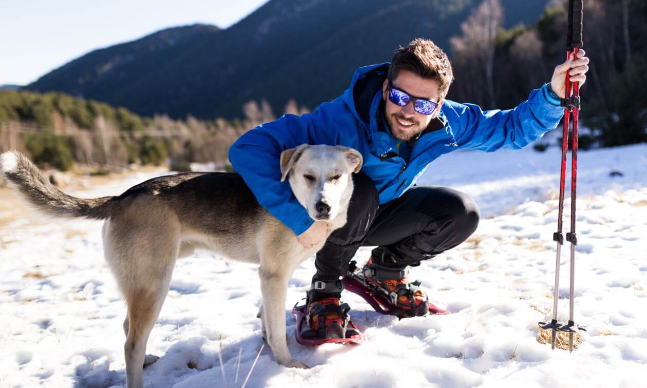 Dog in snow shoes best sale