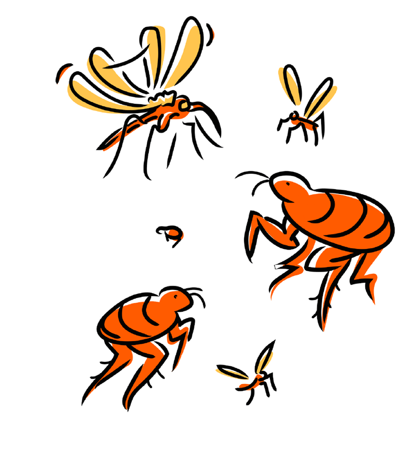parasites