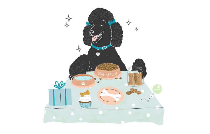 Illustration of a poodle at a table with bowls of dog food.
