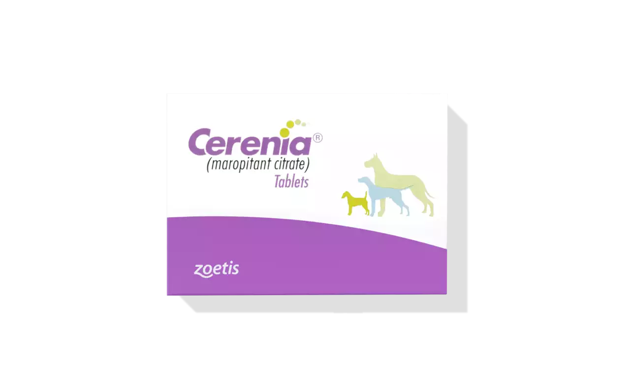 Learn More About the Benefits of Cerenia