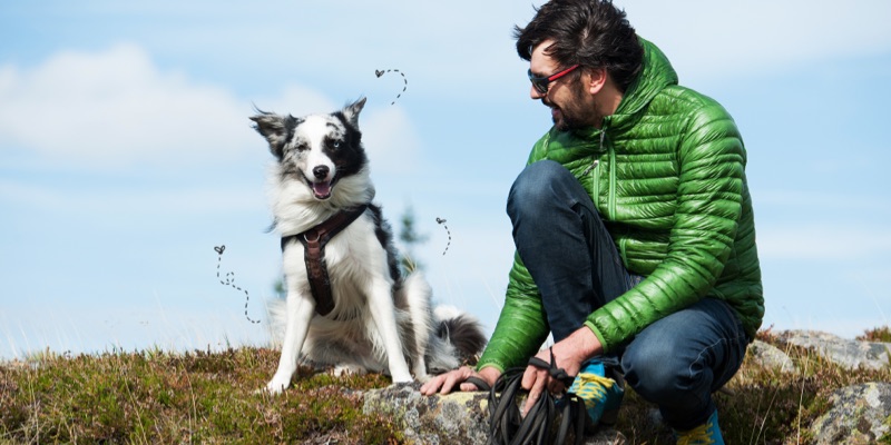 Avoiding Ticks While Hiking with Your Dog