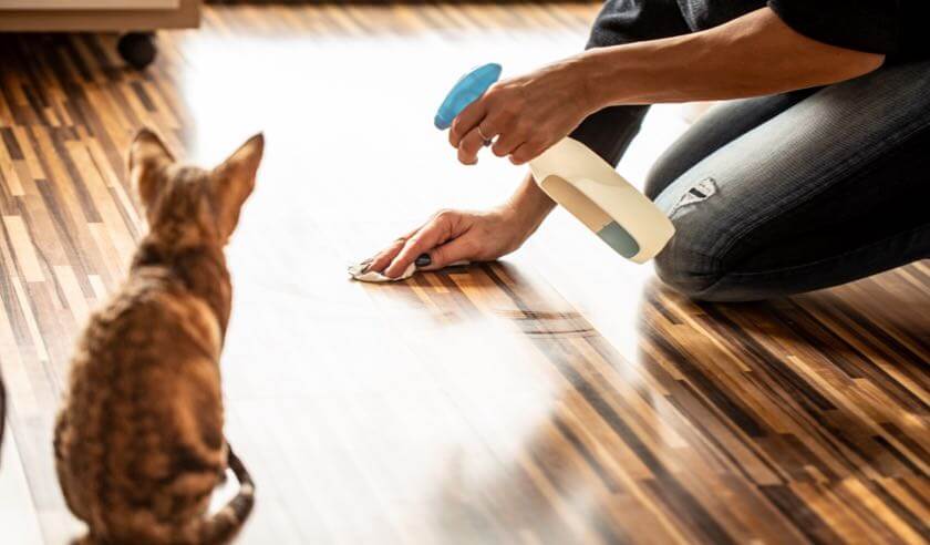 Household Products That are Poisonous for Pets