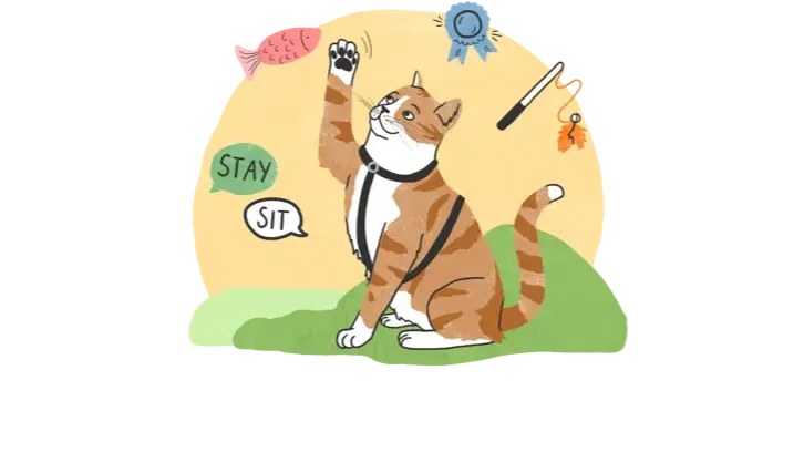 Enrichment Calendar for&nbsp;Cats