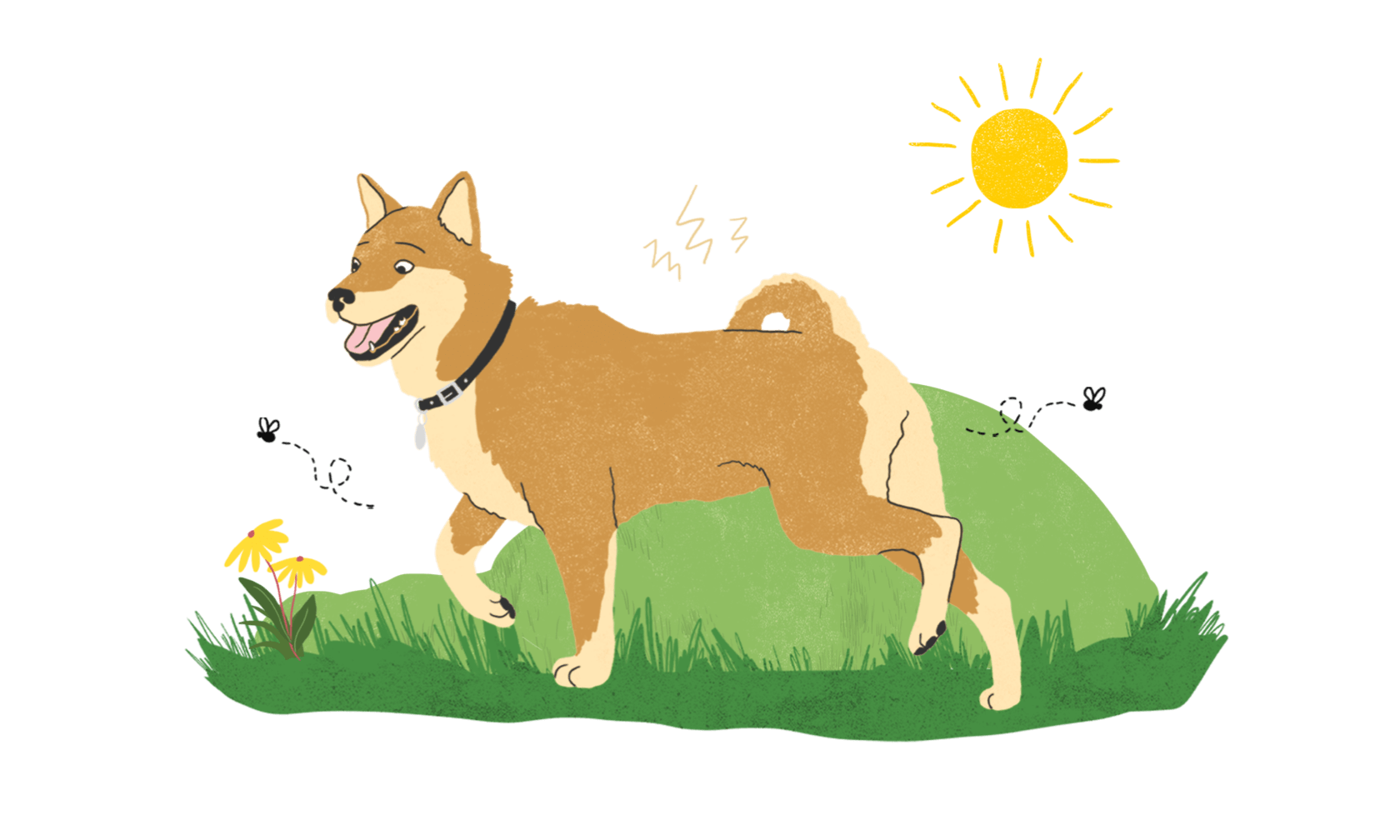 An illustration of a brown and white dog standing on top of a green field.