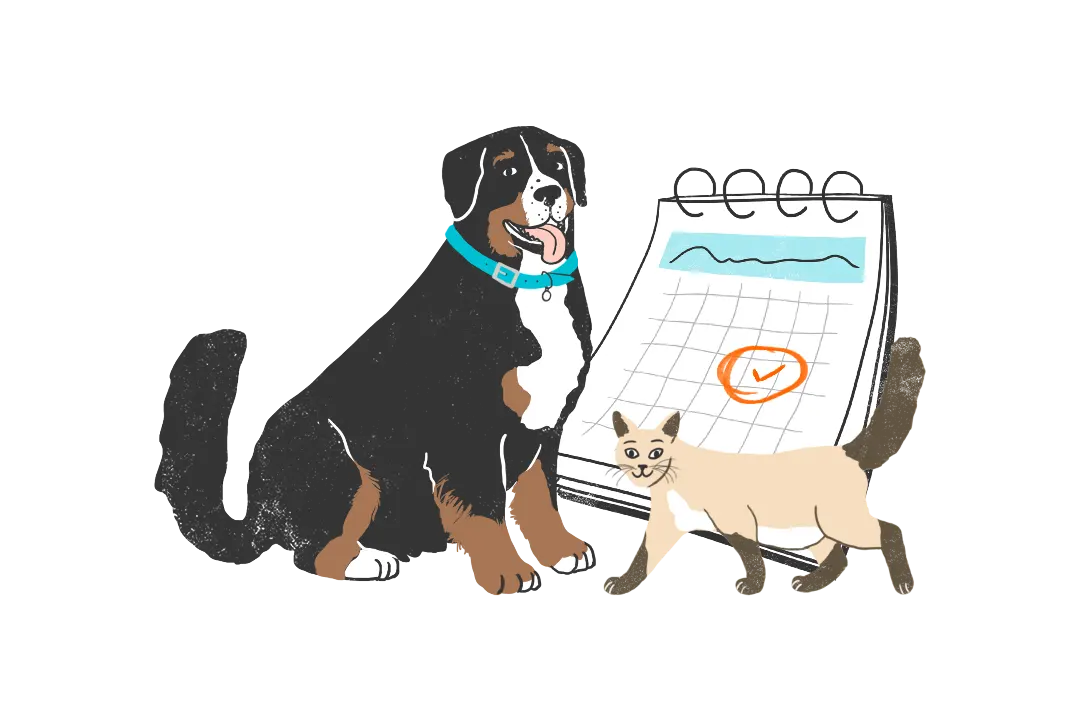 Illustration of a dog and a cat in front of a calendar
