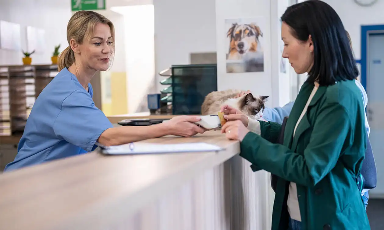 cat on vet receptionist counter