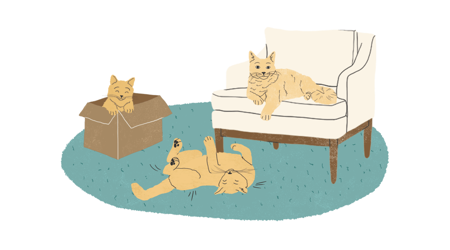 Illustration of cats lounging inside.