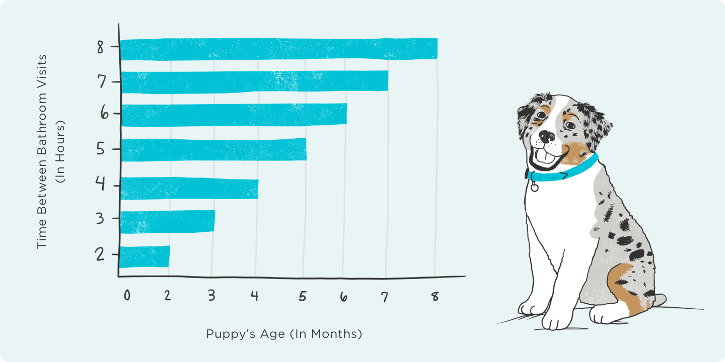 What Age To Start Potty Training