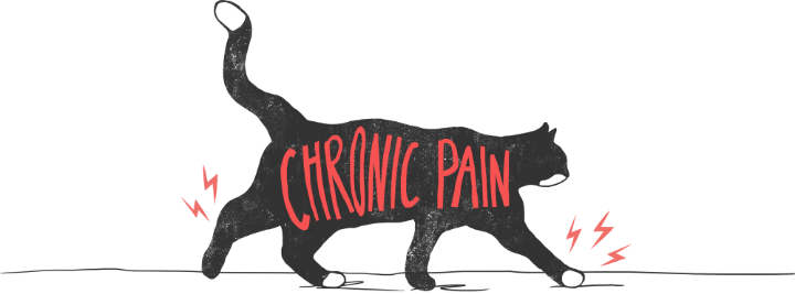 cat with chronic pain