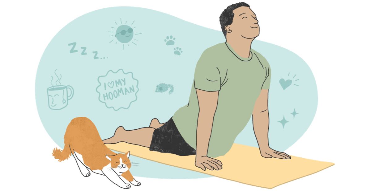 Man and cat doing yoga