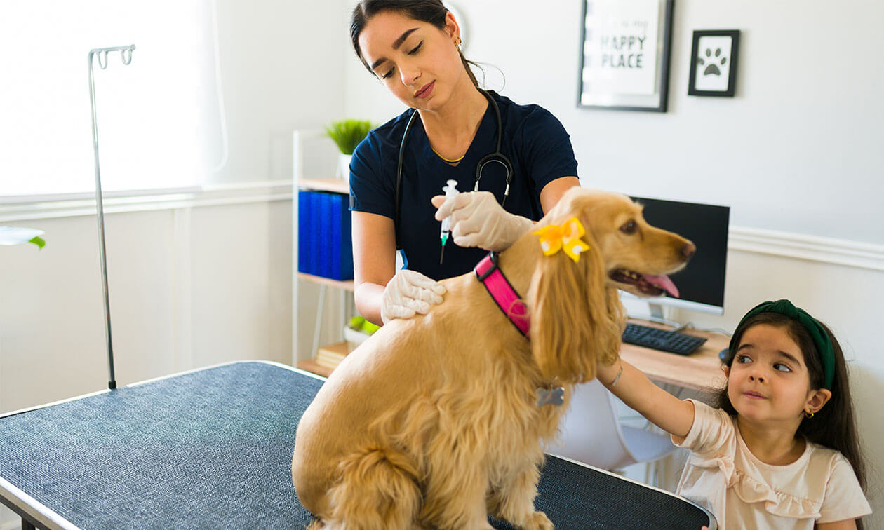 A woman is giving a dog a vaccine.
