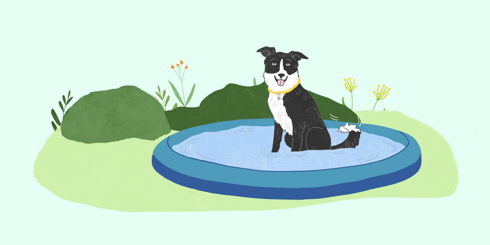 Illustrated dog sitting in a kiddie pool.