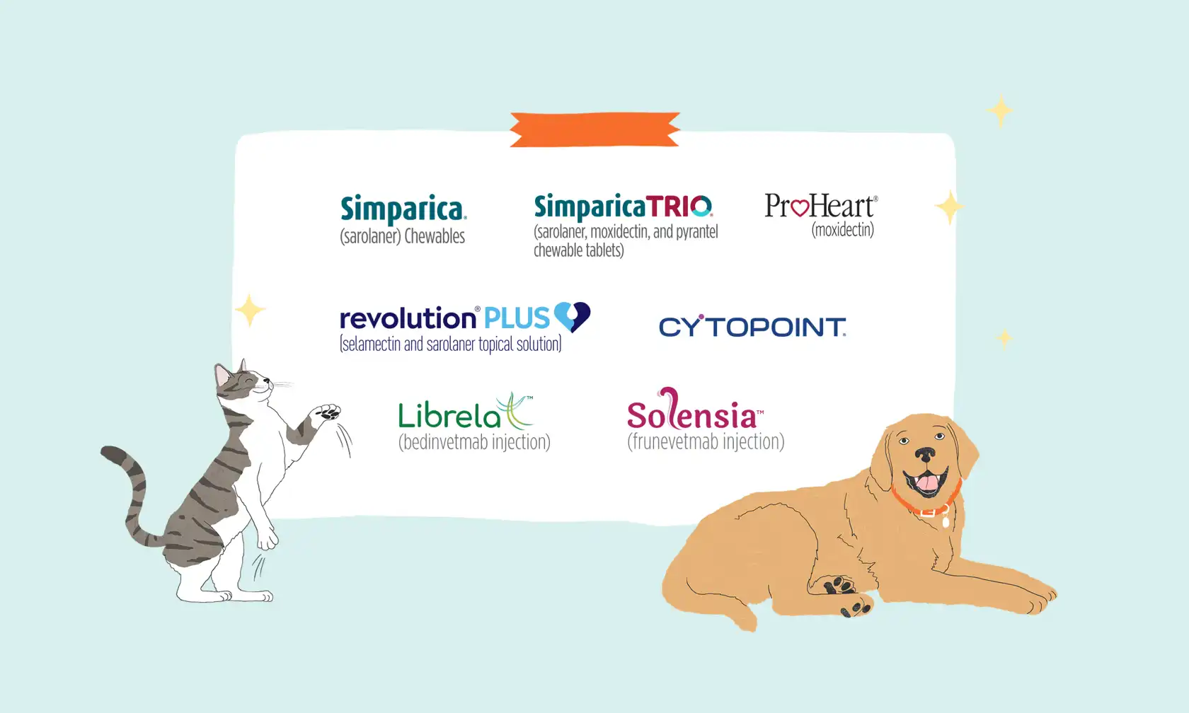 A dog and a cat sitting next to a sign.