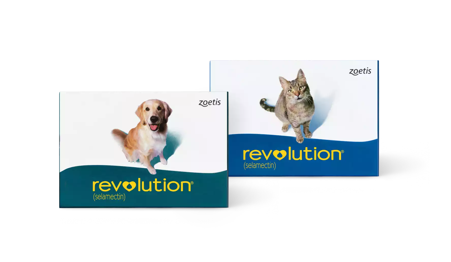 Revolution