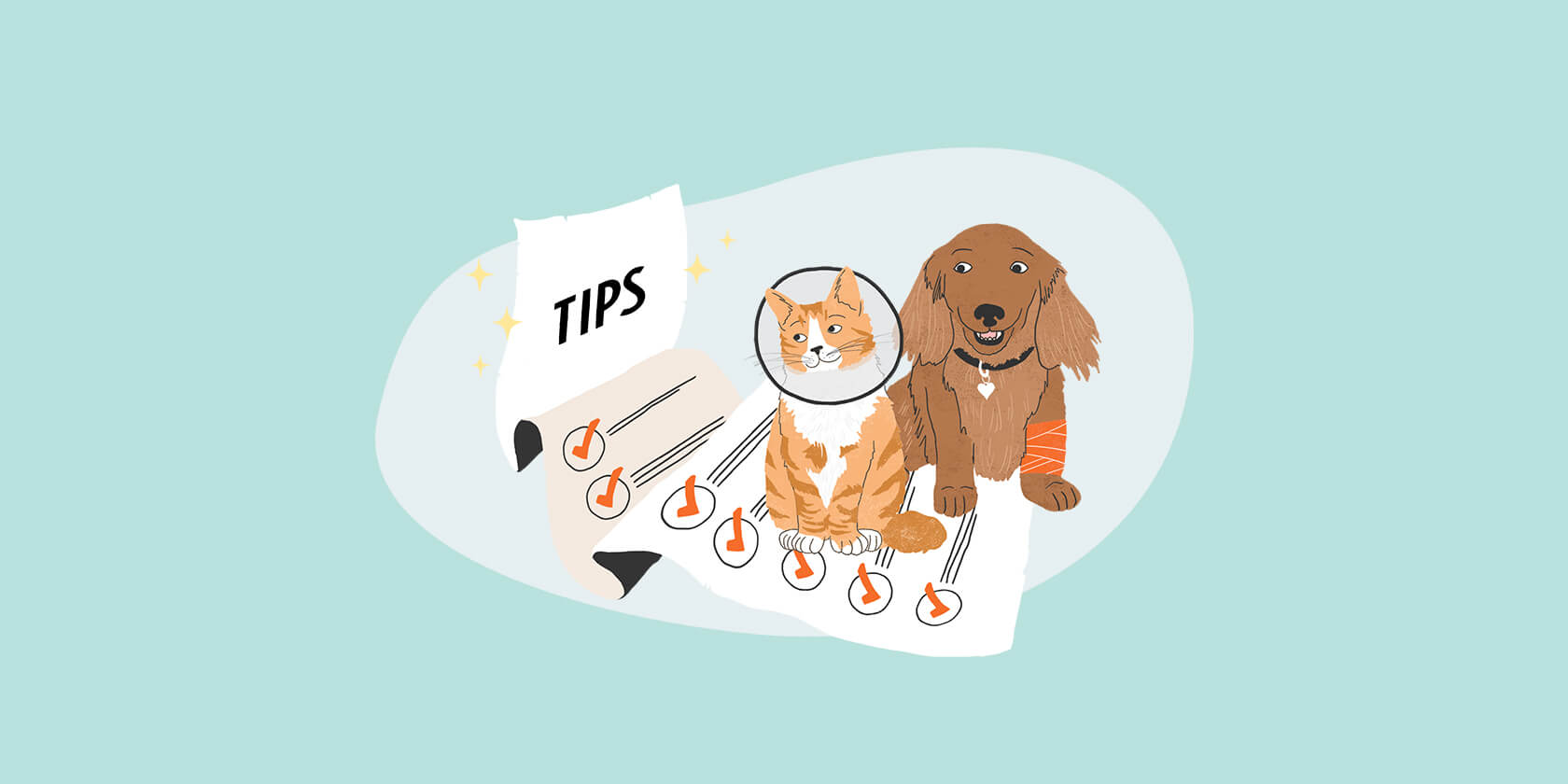 Tips for dog and cat veterinarian visits