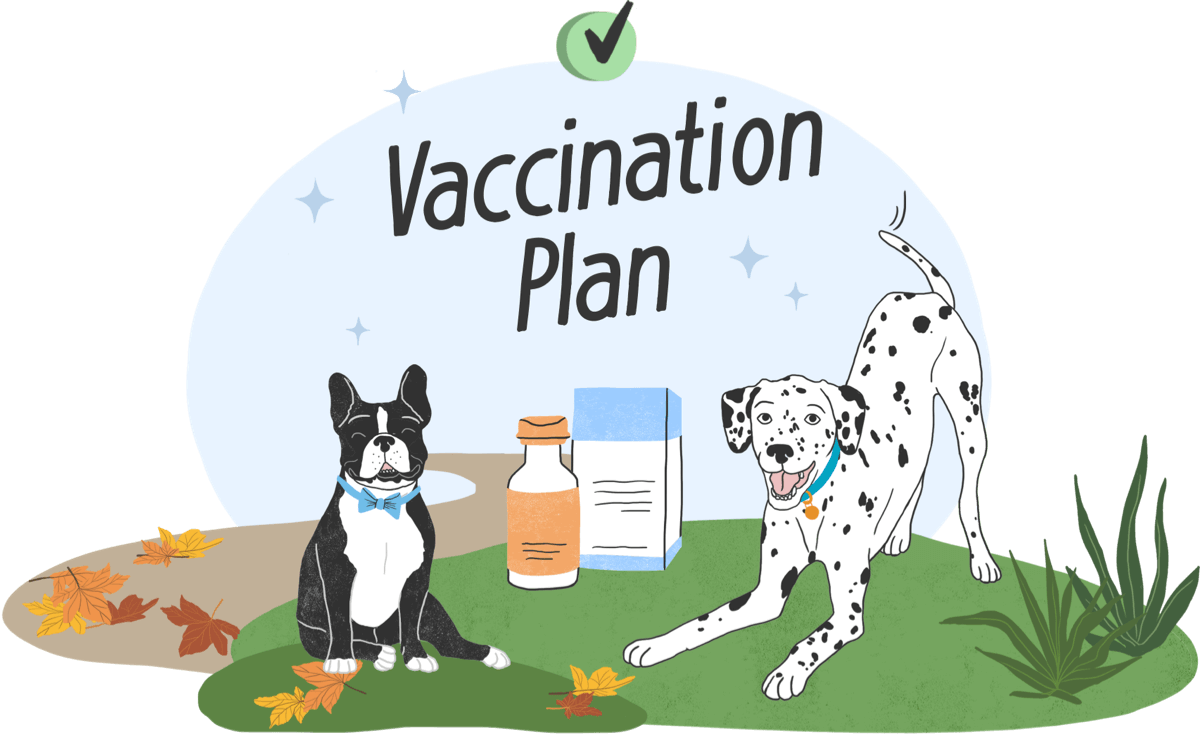 Illustration of a Frenchie and Dalmatian with a vaccination plan.