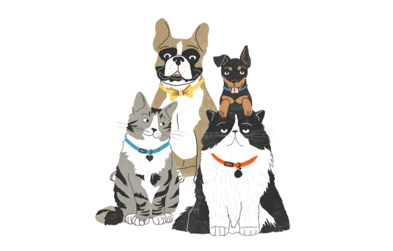 Illustration of dogs and cats sitting next to each other.