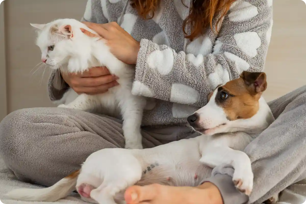 Woman petting cat next to dog