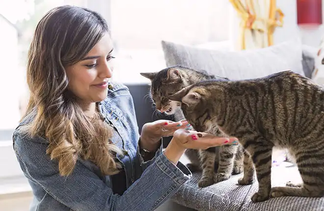 A woman sitting on a couch petting a cat.