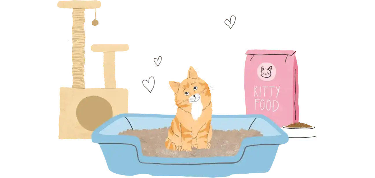 The New Kitten Planner