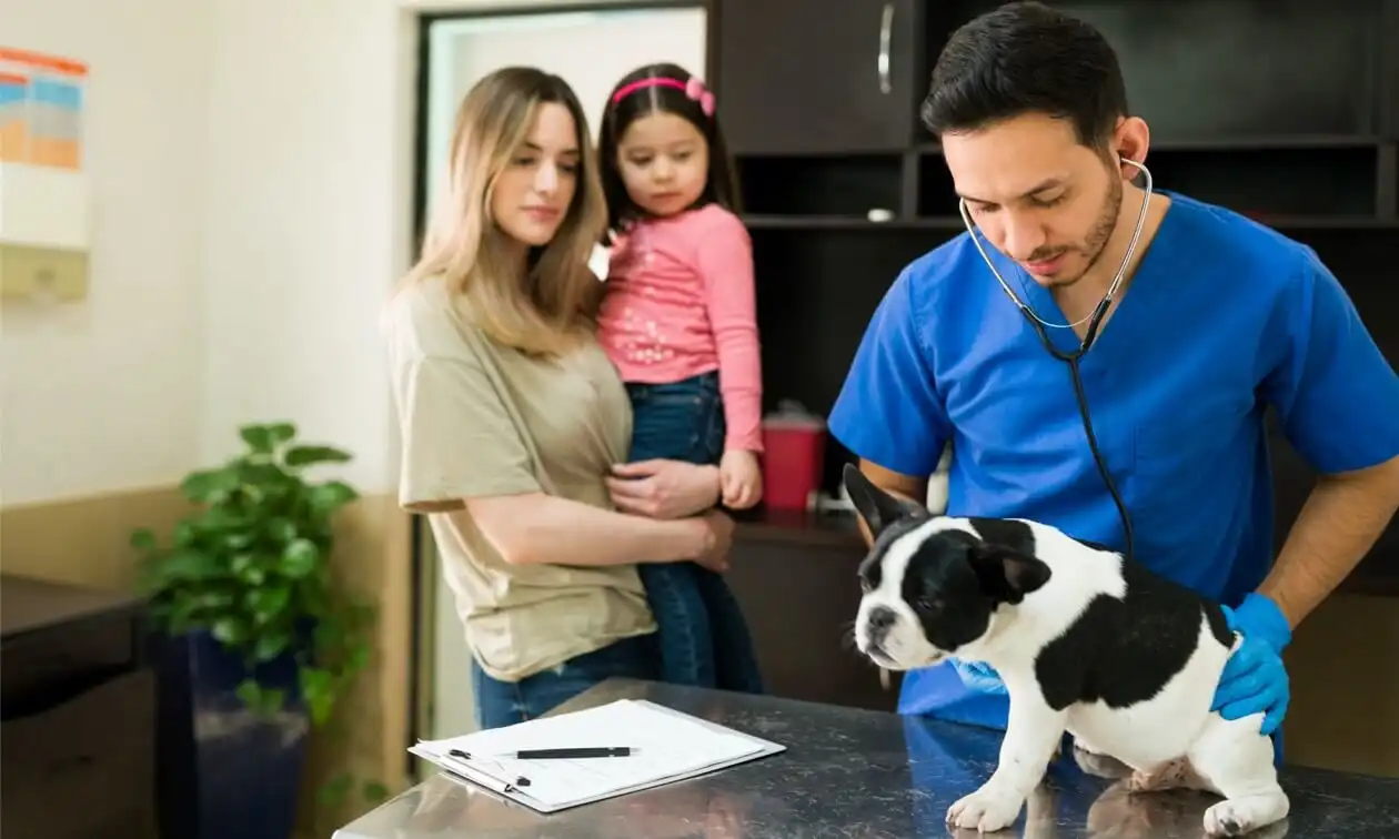 Doctor checking out dog