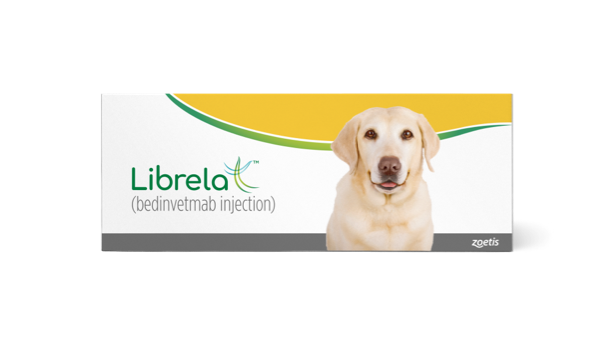 See the Benefits of Monthly, Long-Lasting Librela