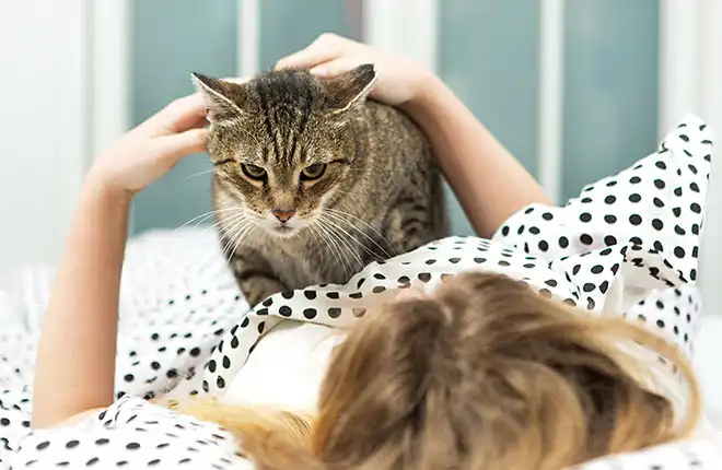 A cat sitting on top of a bed next to a woman.