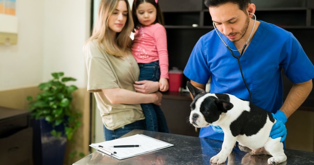 Why Is My Dog Coughing? Zoetis Petcare