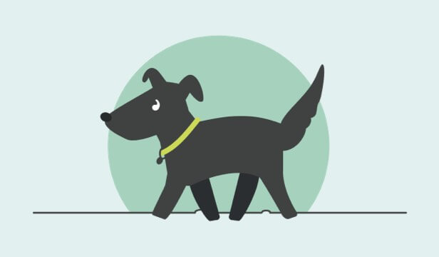 Illustration of a black dog with a yellow collar on a green background.