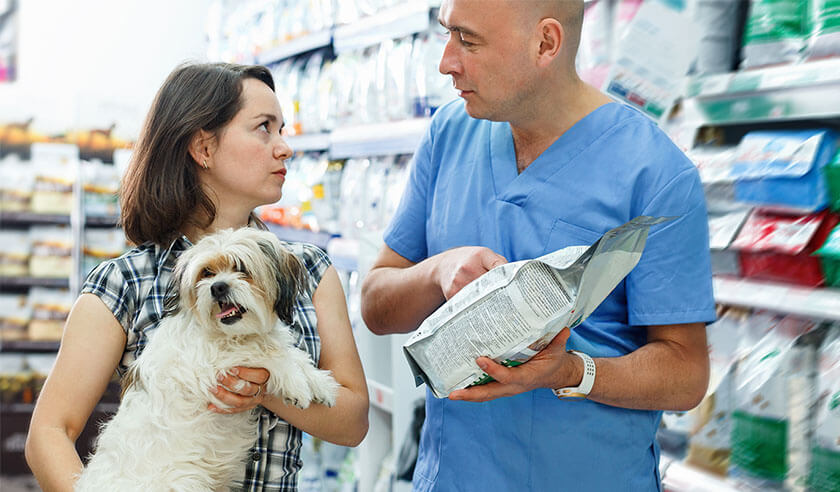 What Every Pet Owner Should Know About Food Allergies in Dogs