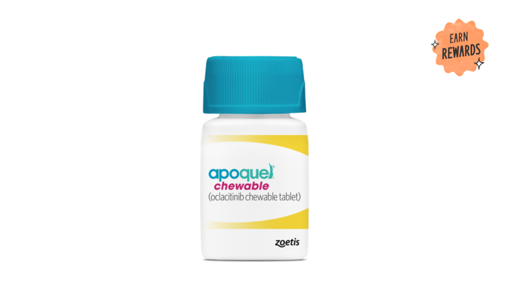 Allergic Itch Relief for Dogs Available in a Tasty Chewable