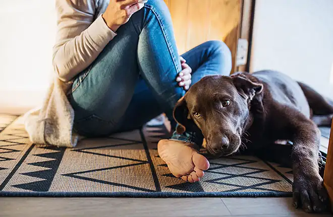A woman sitting on the floor with her dog.
