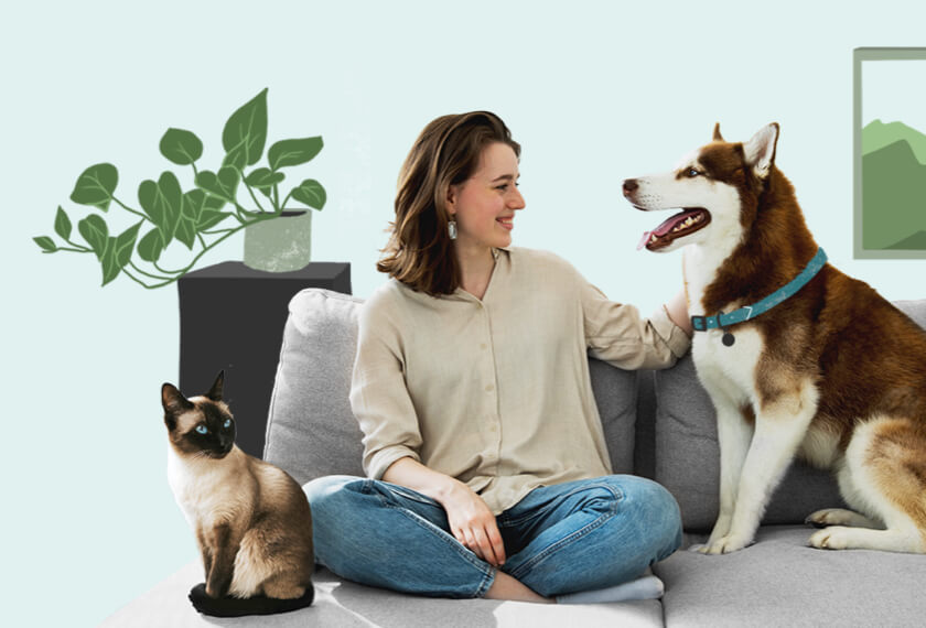 woman with pets on couch