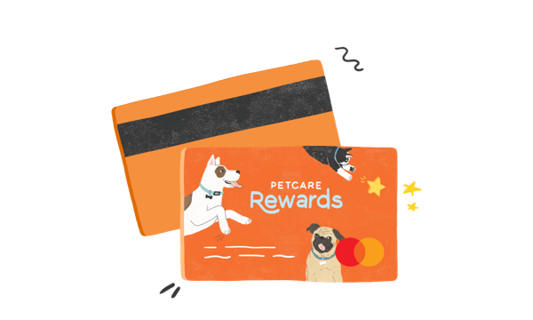 Illustration of Zoetis Petcare Rewards cards.