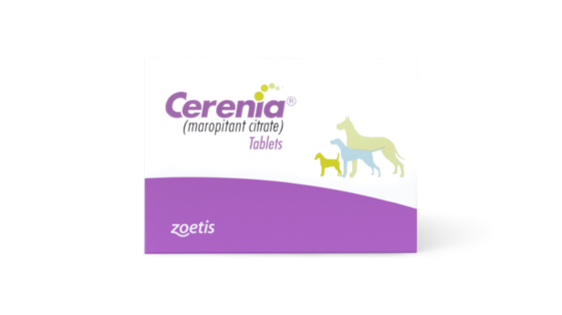 Safe and Effective Vomiting  Relief for Your Dog