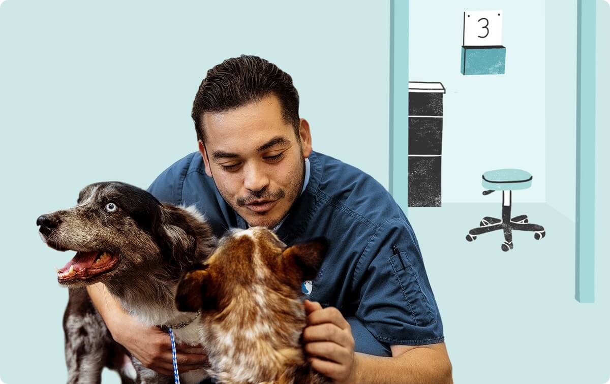 A man petting two dogs.