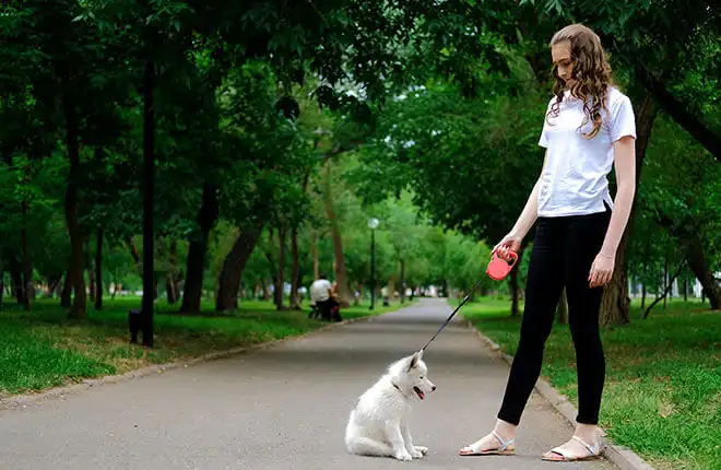 A woman walking a dog on a leash in a park.