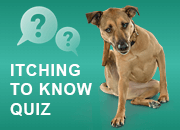Take the Itch Quiz