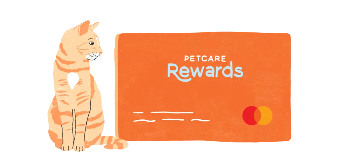 Earn Rewards With Eligible Purchases to Help Pay for Future Vet Care