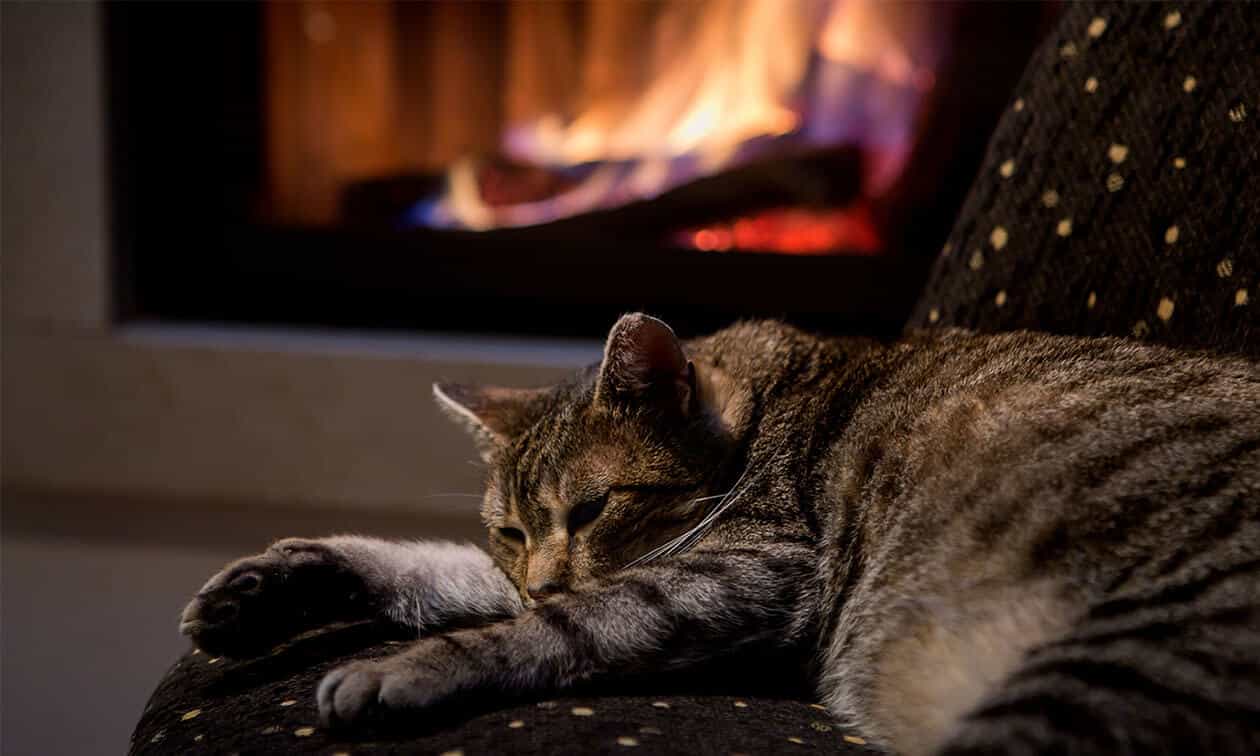 A cat sleeping on a chair in front of a fire place.