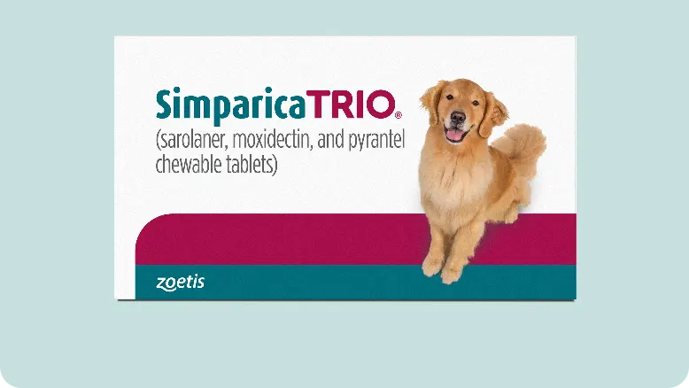 A Monthly Chewable That Provides Triple Protection for Your Dog