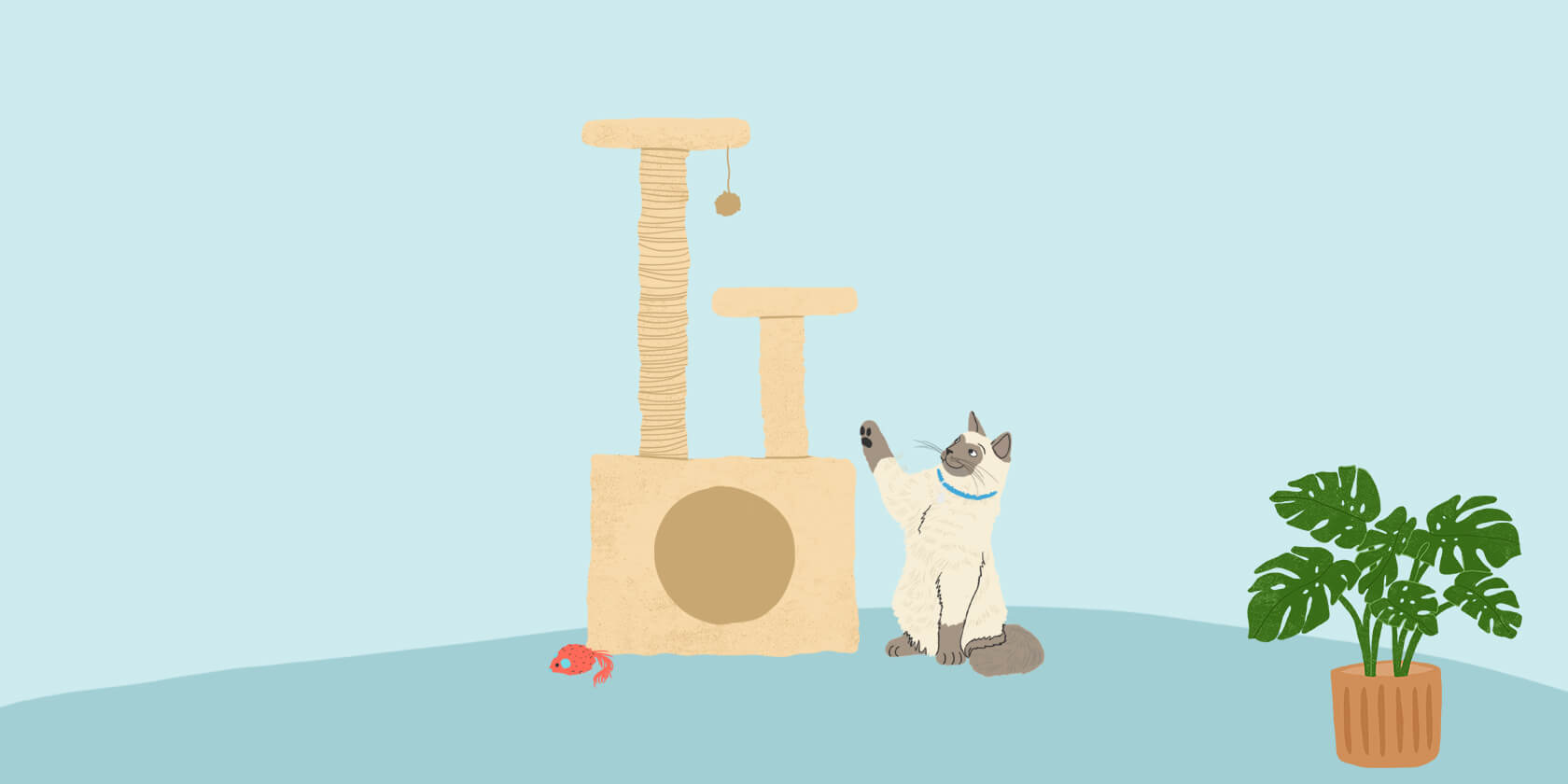 Benefits Of Having A Cat Tree Zoetis Petcare