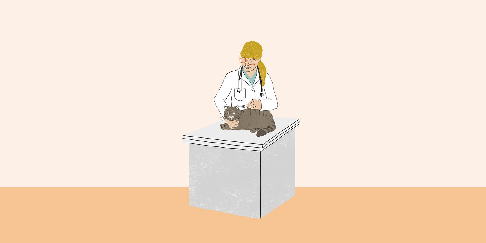 Veterinarian taking a cat's temperature