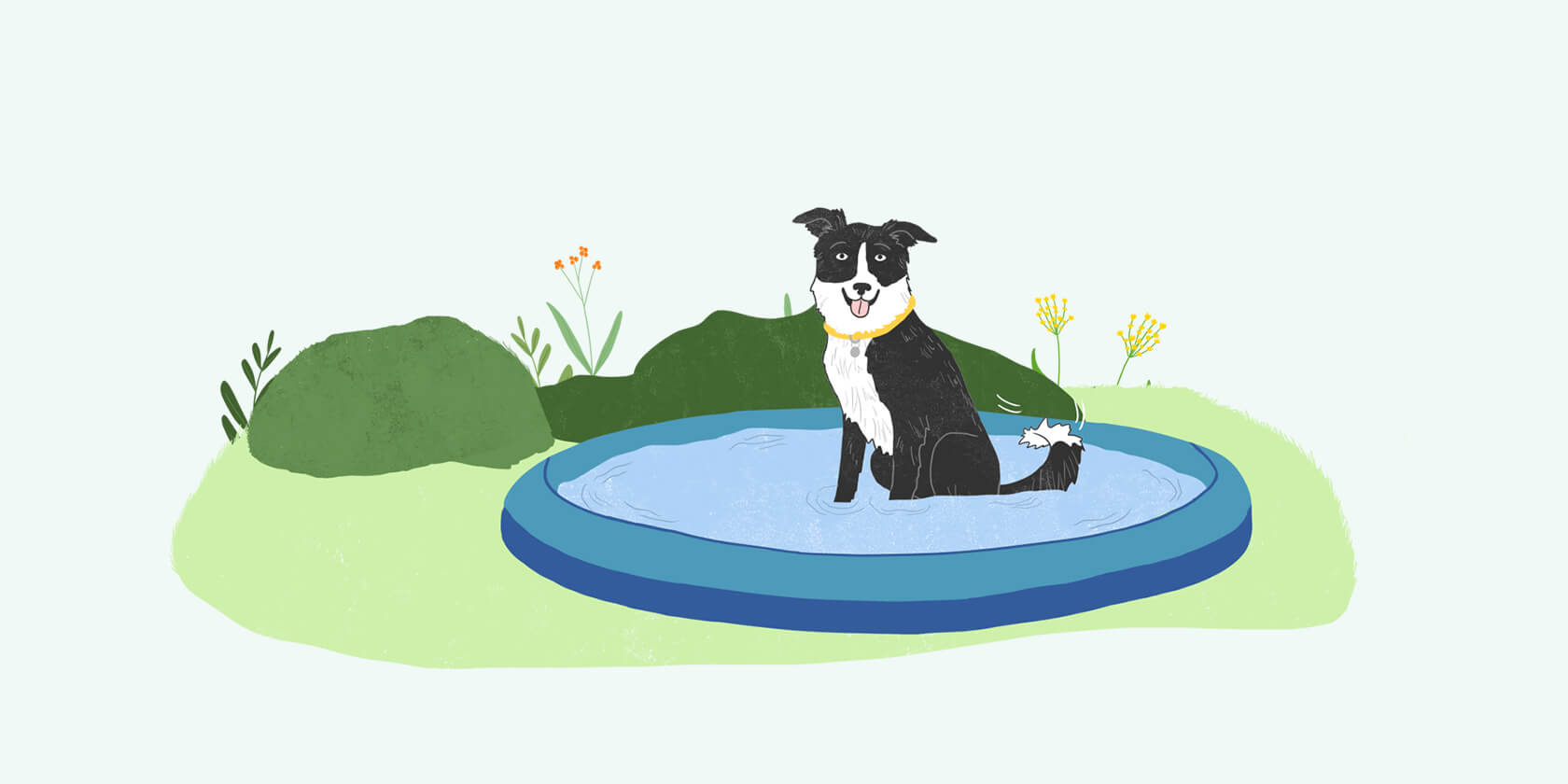 Dog sitting in a pool