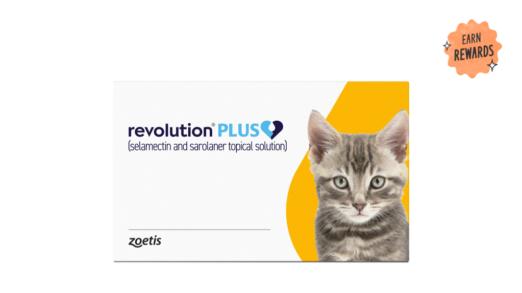 Parasite Protection both Indoor and Outdoor Cats Need