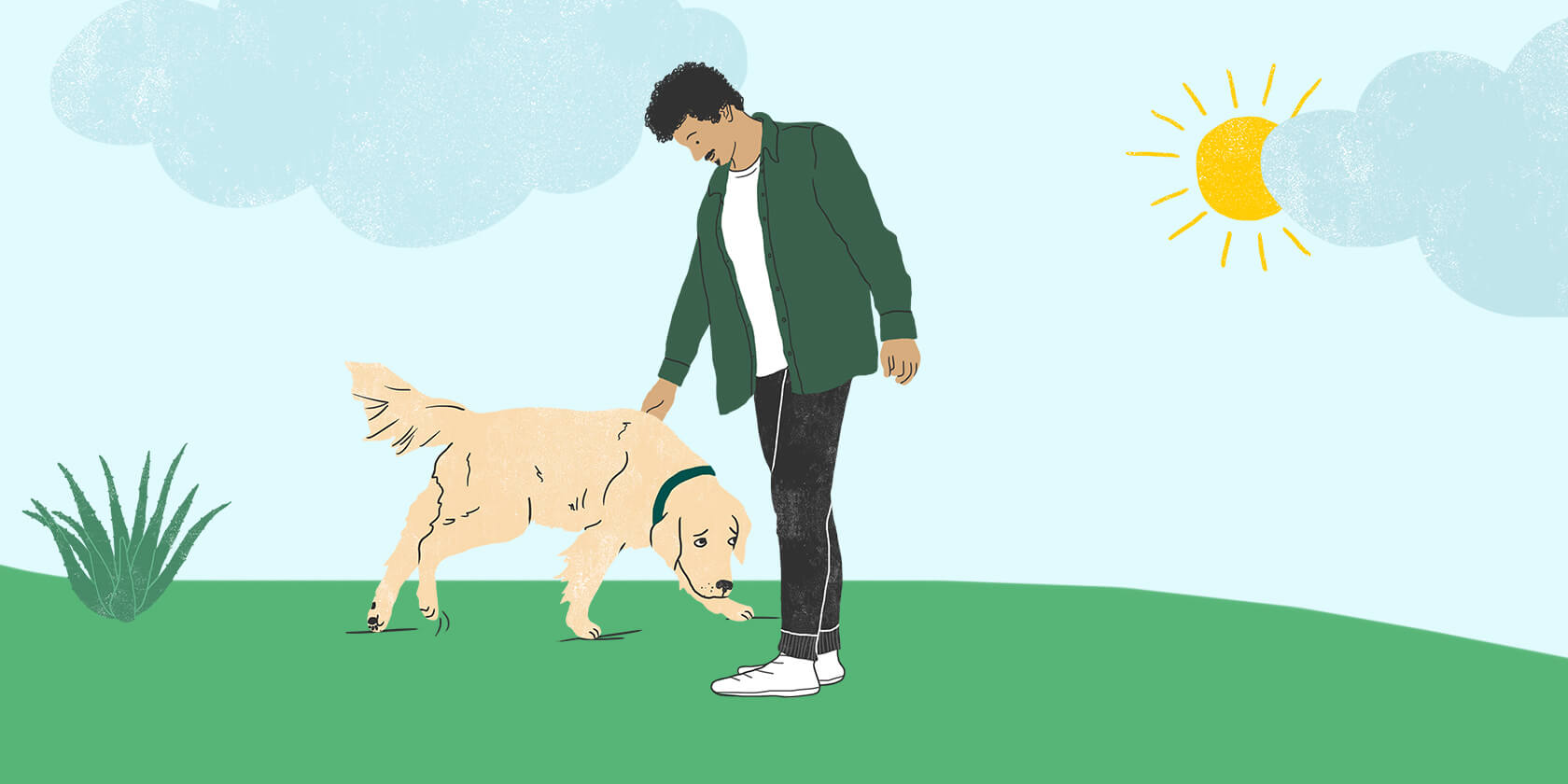 Is Your Dog Limping? Lagging Behind or Uncomfortable? | Zoetis Petcare